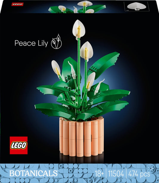 Konstruktorius LEGO® Botanical Vėzdūnė 11504, 474vnt.