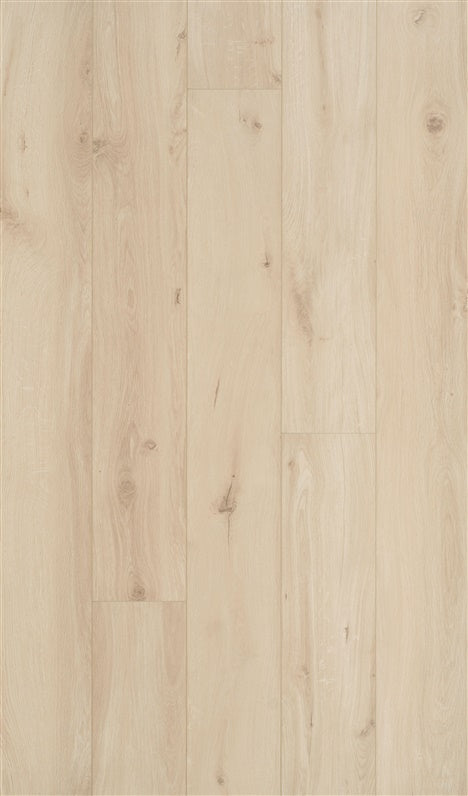 Laminate increased moisture resistance Ocean XL B1123