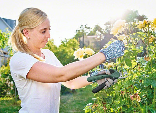 SECATEURS EASYPRUNE BOSCH 3.6V LI-ION