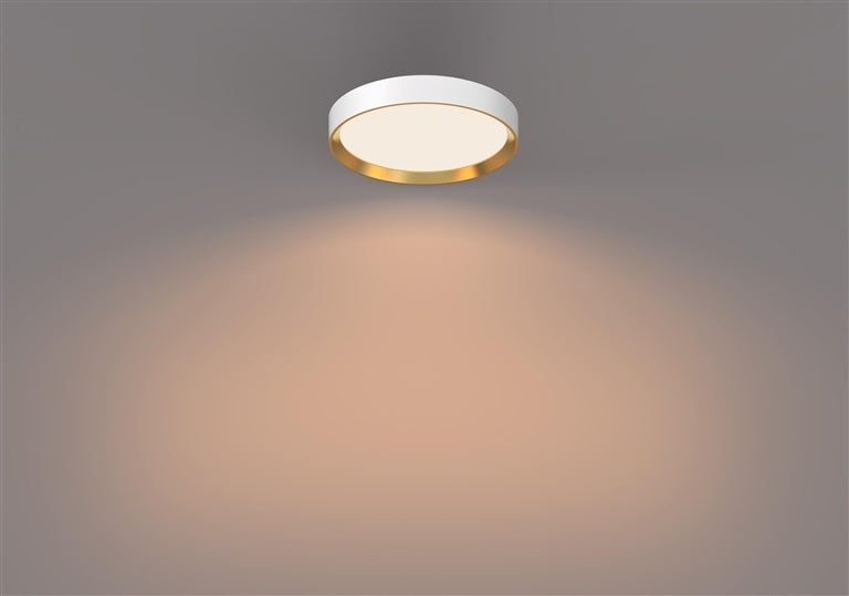 Šviestuvas lubų Philips 929004116001, 24 W, LED, 2700 °K