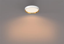 Ceiling lamp Philips 929004116001, 24 W, LED, 2700 K