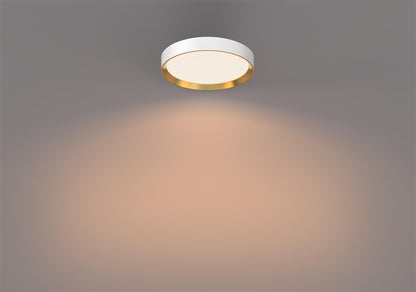 Šviestuvas lubų Philips 929004116001, 24 W, LED, 2700 °K