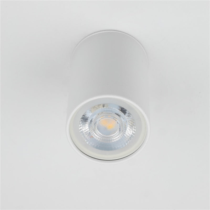 Šviestuvas lubų TK Lighting Top 5766, GU10, baltas