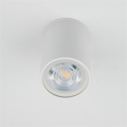 Šviestuvas lubų TK Lighting Top 5766, GU10, baltas