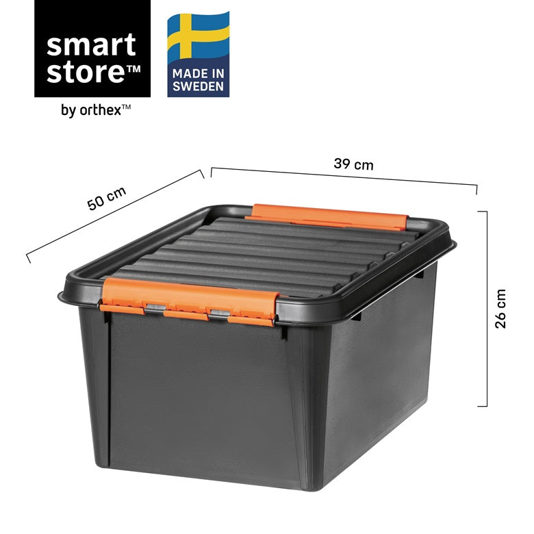 Dėžė sandėliavimo Pro 31l