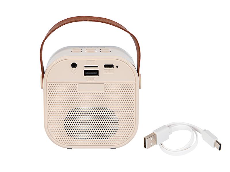 PORTABLE WIRELESS BLOW KARAOKE RGB SPEAKER