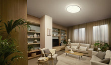 Ceiling light Philips, 32 W, LED, 2200 - 6500 °K