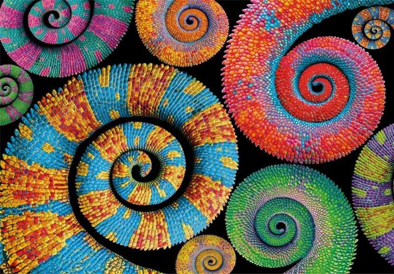 Dėlionė Clementoni Compact Curly Tails 35529, 36x49, 500 d