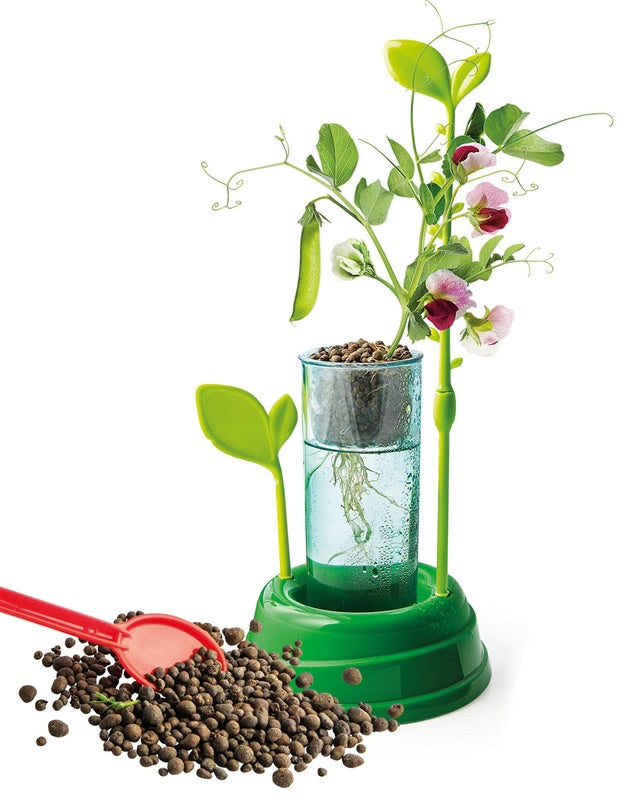 Clementoni Botany Creation Kit 50924