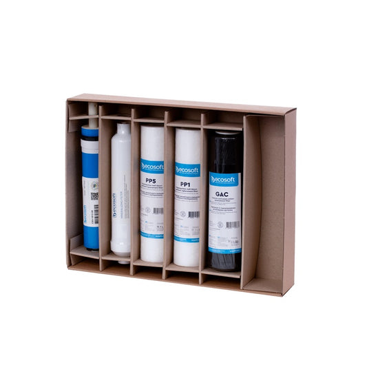 Ecosoft CPV5MCSVECO 10" Filter Cartridge Set