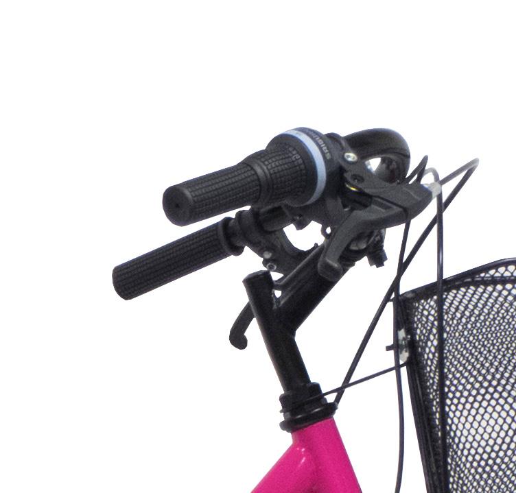 Dviratis miesto Bottari Pisa, 28 ", 18" (44.45 cm) rėmas