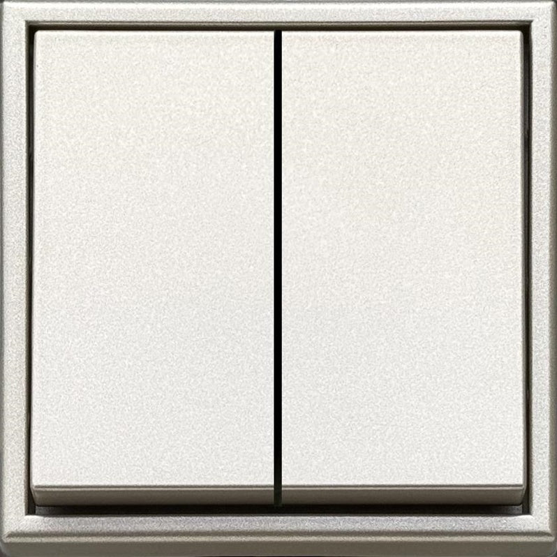 Switch LIREGUS MODERN, 2-gang, champagne