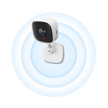 TP-Link Tapo C110 Camera with casing