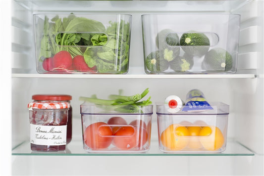 Pojemnik 10690, przezroczysty, 20 x 14 x 7.5 cm