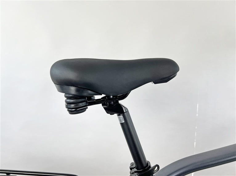 Elektrinis dviratis Succhi, 54 cm, 28", 250 W