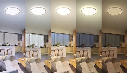 Šviestuvas lubų Philips, 32 W, LED, 2200 - 6500 °K