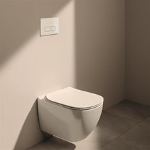 OLEAS M1 F/PLATE DUAL WHITE IS