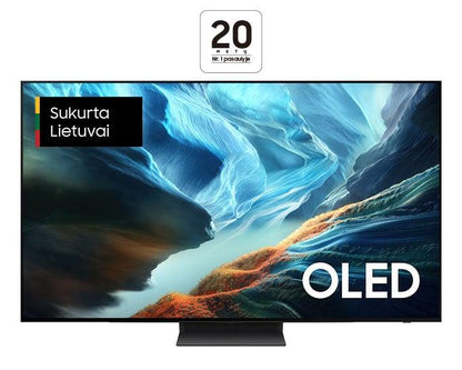 TELEVIZORIUS QE65S90HAEXXH SAMSUNG