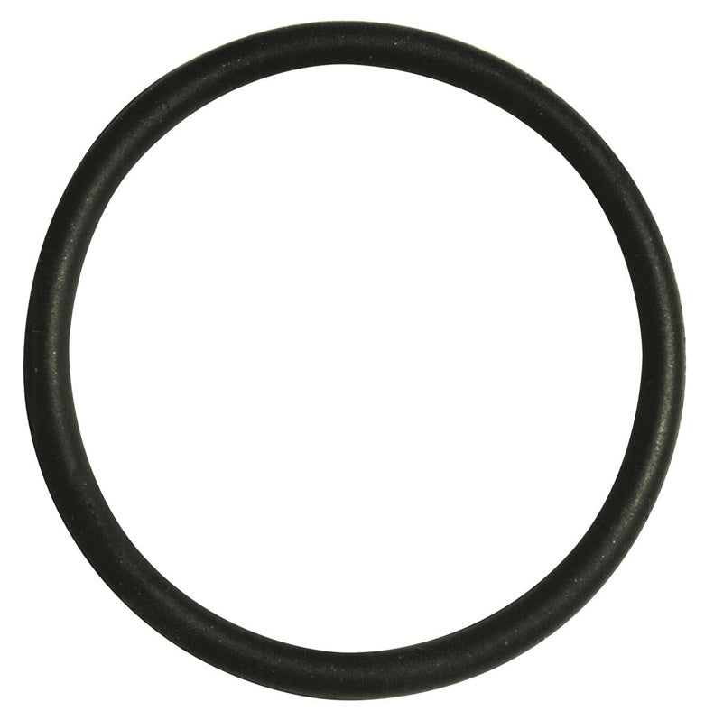 Guminė tarpinė Perla, Ø 20 mm 10 vnt.