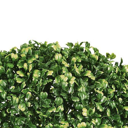 Dirbtinis augalas Atmosphera Buxus, žalia, 38 cm x 38 cm