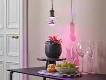 Lemp LED augalams 1300K E27 7.5W 140lm