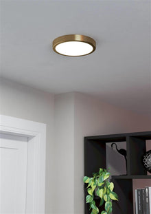 Ceiling lamp Eglo, LED, 17W, 3000K, 2000lm, Ø21.