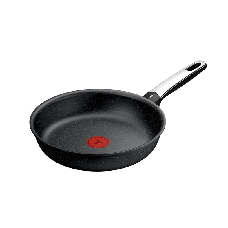 Frying pan Tefal EXPERTISE PLUS, Ø 24 cm, stainless