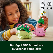 KONSTR ROCKING PLANTS
