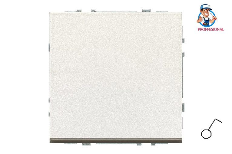 LIREGUS MODERN switch, champagne color