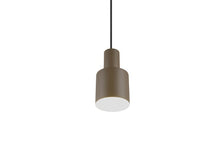 Trio Agudo 319400141 Hanging Lamp, 10 W, E27