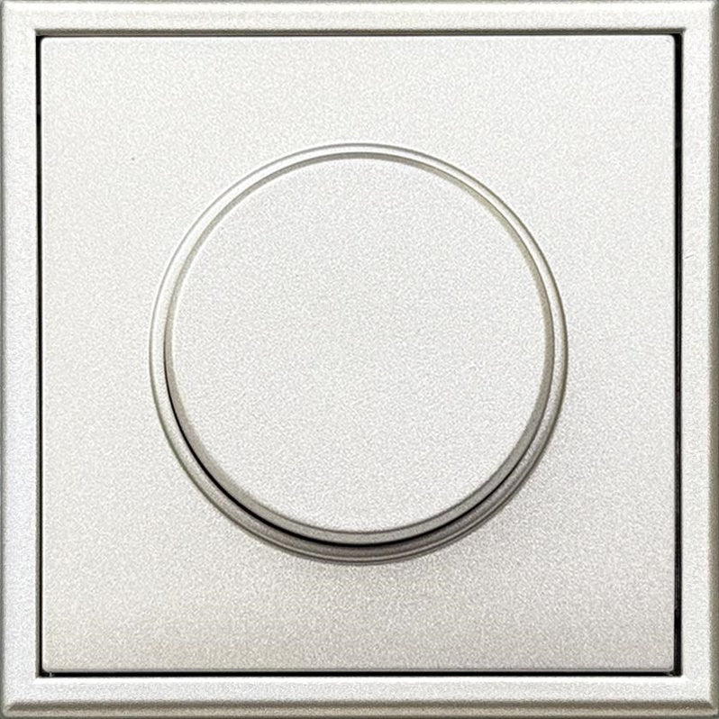 Light dimmer LIREGUS MODERN, champagne color