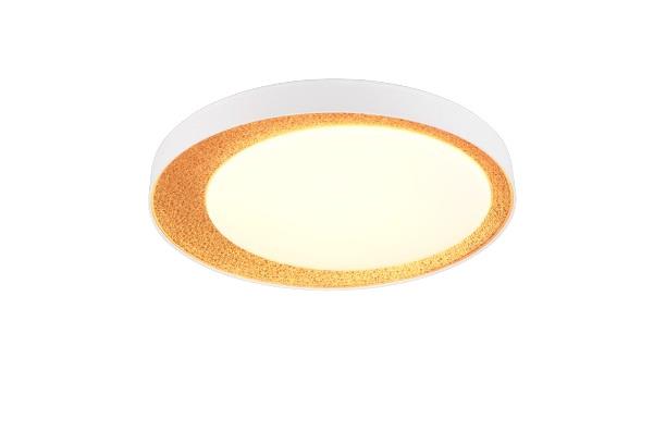 Ceiling light Reality, LED, 24W, 2700-6500K, 2500lm, Ø45