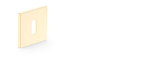 Metal-Bud QUANTA K FIT door rosette, gold