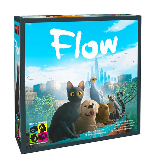 Gra planszowa Brain Games Flow BRG#FLOW