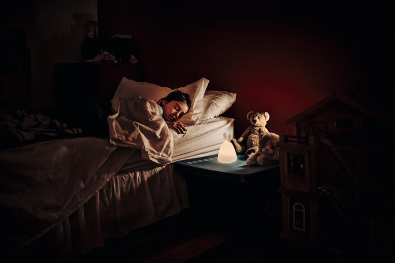Stalinis šviestuvas Ledvance NIGHTLUX RABBIT 4058075602113