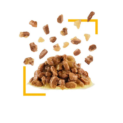 ROYAL CANIN Sensory Taste Chunks In Jelly - Wet Food for Adult Cats 12x85g