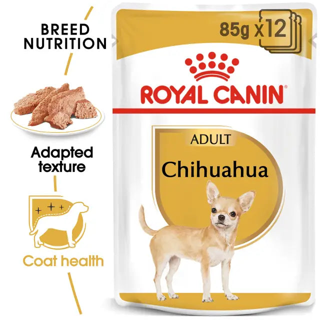 Chihuahua drėgnas pašaras šuniui