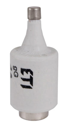Lydusis saugiklis DII/GG, 20A, E-27, 5 vnt.