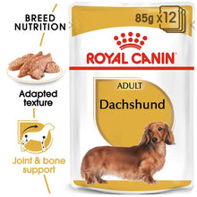 Dachshund mokra karma dla psów