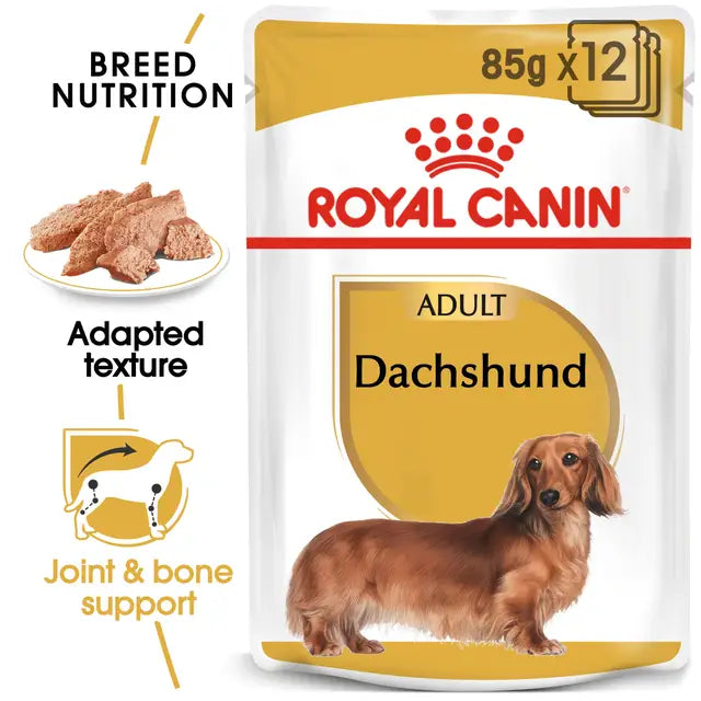 Dachshund mokra karma dla psów