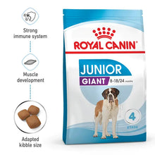 JUNIOR - GIANT sausas pašaras šuniui