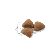 Indoor 27 dry cat food