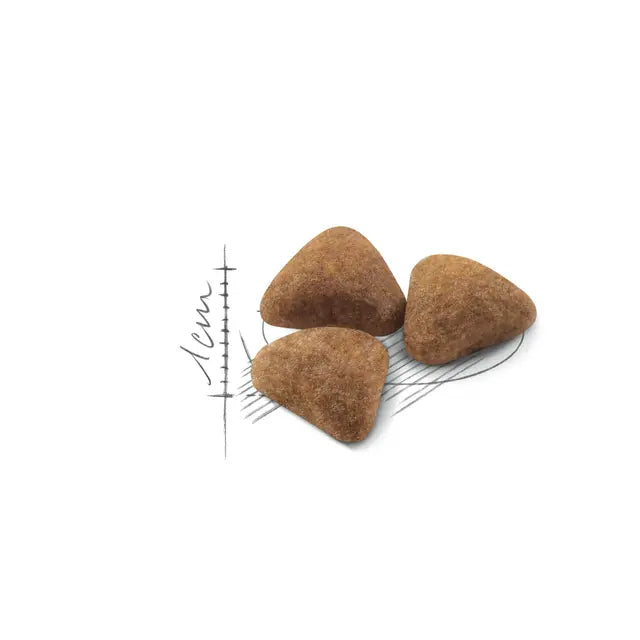 Indoor 27 dry cat food