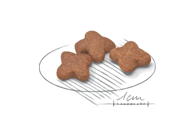 Royal Canin Mini Adult 8+ sausas pašaras šuniui - Subrendusiems mažų veislių šunims