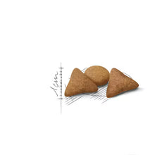 Indoor Appetite Control dry cat food