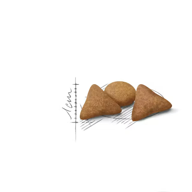 Indoor Appetite Control dry cat food