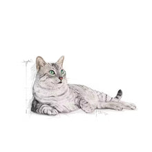 Indoor Appetite Control dry cat food