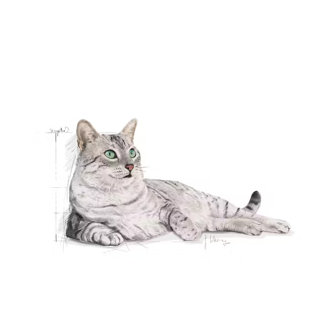 Indoor Appetite Control dry cat food
