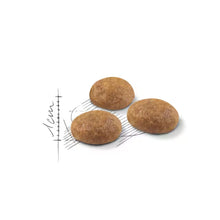 Outdoor dry cat food