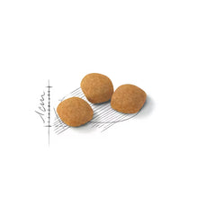 Protein Exigent dry cat food